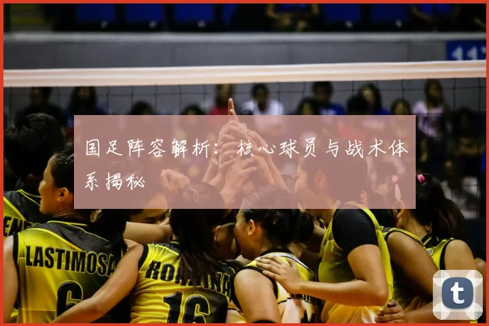 国足阵容解析:核心球员与战术体系揭秘